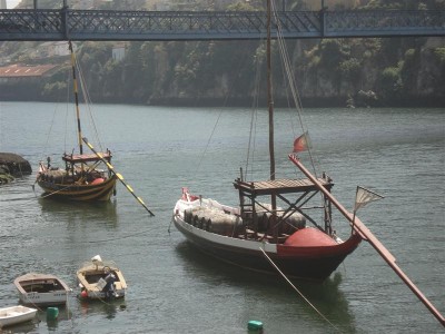 DSC00233 (Medium).JPG (93.89 Kio) Vu 4490 fois DSC00233 (Medium).JPG