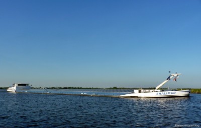 shalimar-3-24-05-2012.jpg