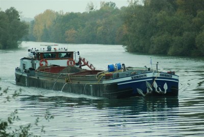 DSC_0185 (Medium).JPG