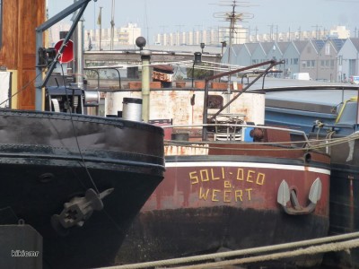 SOLI DEO Anvers septembre 2012 (2).JPG (121.1 Kio) Vu 2421 fois SOLI DEO Anvers septembre 2012 (2).JPG