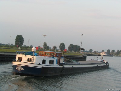 mazzel-3-20-07-2006.jpg (153.13 Kio) Vu 15006 fois mazzel-3-20-07-2006.jpg