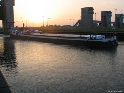 mazzel-2-20-07-2006.jpg (192.43 Kio) Vu 15015 fois mazzel-2-20-07-2006.jpg