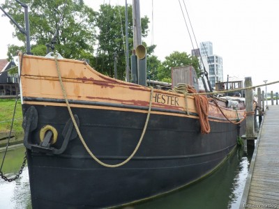 Hester-3-05-07-2014.jpg