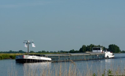 Vectare-1-06-06-2014.jpg