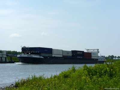 Pecaro-1-22-05-2015.jpg