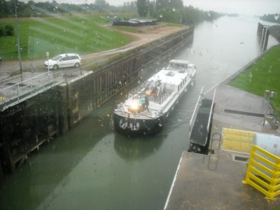 isatis 2.jpg (308.5 Kio) Vu 4980 fois isatis 2.jpg