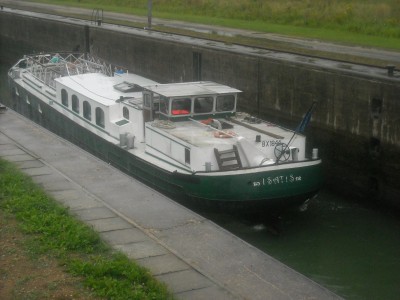 isatis.jpg (523.69 Kio) Vu 4980 fois isatis.jpg