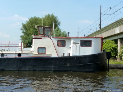 norvicus-3-30-06-2010.jpg (211.93 Kio) Vu 1857 fois norvicus-3-30-06-2010.jpg