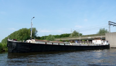 norvicus-2-30-06-2010.jpg (139.78 Kio) Vu 1855 fois norvicus-2-30-06-2010.jpg