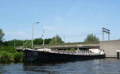 norvicus-1-30-06-2010.jpg (145.28 Kio) Vu 1855 fois norvicus-1-30-06-2010.jpg