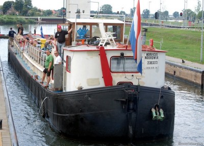norvicus-3-06-08-2010.jpg