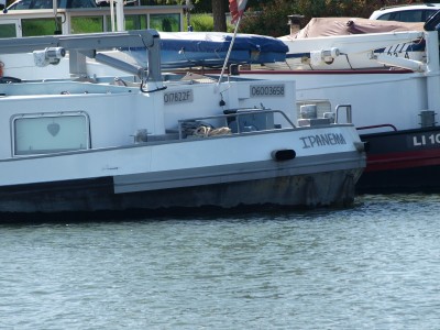 P6073897 (Copier).JPG (433.07 Kio) Vu 4657 fois P6073897 (Copier).JPG