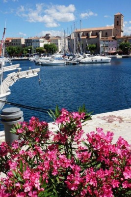 DSC09863.jpg (114.15 Kio) Vu 1774 fois DSC09863.jpg