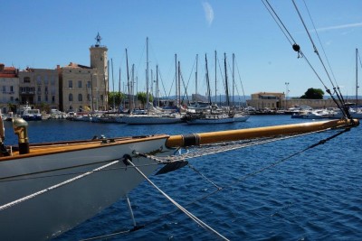 DSC09866.jpg (125.65 Kio) Vu 1774 fois DSC09866.jpg