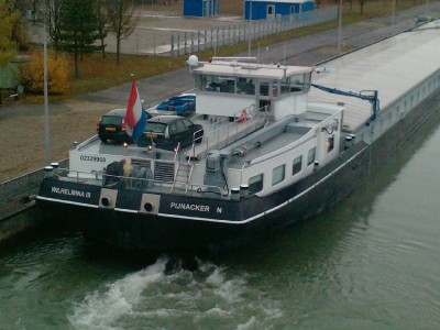 wilhelmina3.JPG