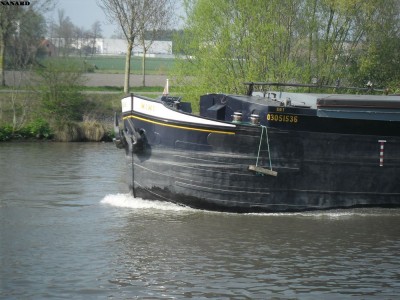 SAM_5454.JPG (158.78 Kio) Vu 1899 fois SAM_5454.JPG