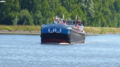 015.JPG (126.59 Kio) Vu 2363 fois 015.JPG