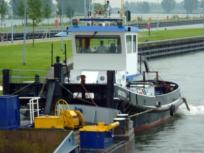 Gretina-1-25-08-2015.jpg
