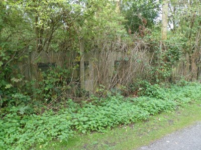 3 (Copier).JPG (280.79 Kio) Vu 4065 fois 3 (Copier).JPG