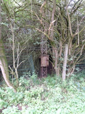 4 (Copier).JPG (189.51 Kio) Vu 4065 fois 4 (Copier).JPG