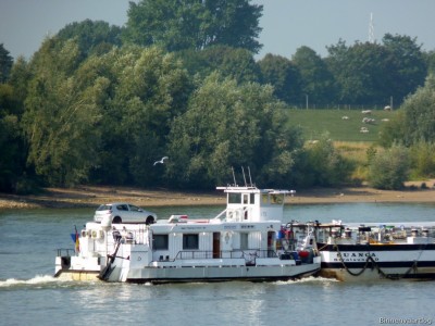 Gino-Suanca-4-30-08-2015-Lobith.jpg (213.27 Kio) Vu 2696 fois Gino-Suanca-4-30-08-2015-Lobith.jpg