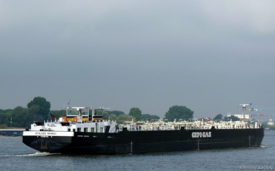 Schloss-Mainau-6-28-08-2015-Lobith.jpg