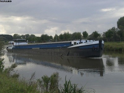 CIMG4236_t_800.jpg