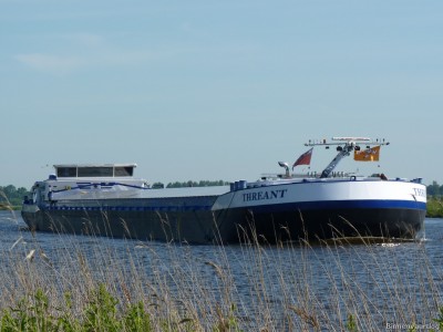 Threant-1-07-06-2014.jpg