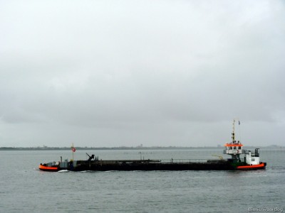Adelaar-2-17-09-2015.jpg