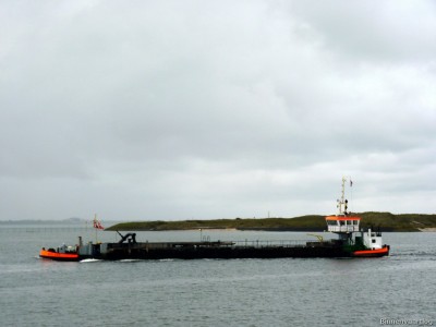 Adelaar-1-17-09-2015.jpg