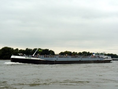 Re-Gina-2-24-09-2015-Oosterhout.jpg