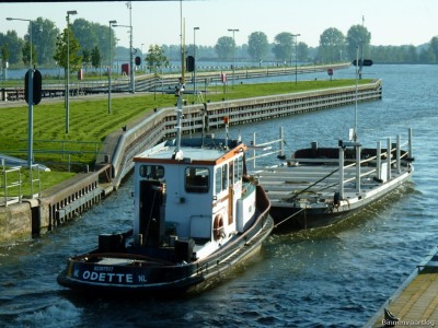 Odette-3-30-09-2015.jpg (244.5 Kio) Vu 1133 fois Odette-3-30-09-2015.jpg