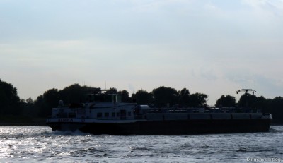 Alnika-5-20-09-2015-Oosterhout.jpg (105.09 Kio) Vu 2333 fois Alnika-5-20-09-2015-Oosterhout.jpg