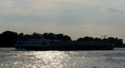 Alnika-4-20-09-2015-Oosterhout.jpg (109.89 Kio) Vu 2333 fois Alnika-4-20-09-2015-Oosterhout.jpg