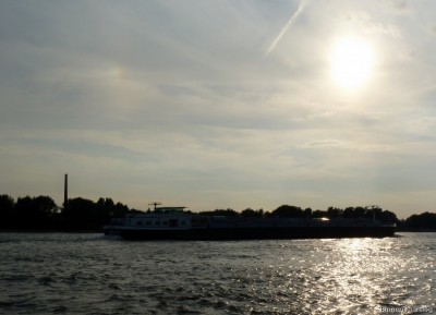 Alnika-3-20-09-2015-Oosterhout.jpg (132.59 Kio) Vu 2336 fois Alnika-3-20-09-2015-Oosterhout.jpg