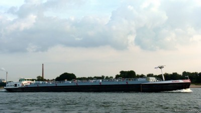 Alnika-2-20-09-2015-Oosterhout.jpg