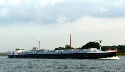 Alnika-1-20-09-2015-Oosterhout.jpg (108.99 Kio) Vu 2333 fois Alnika-1-20-09-2015-Oosterhout.jpg