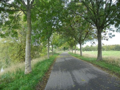 SAM_5771.JPG (245.19 Kio) Vu 4346 fois SAM_5771.JPG