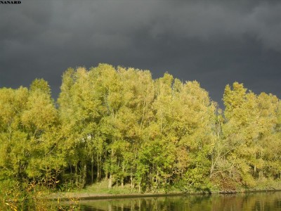 SAM_5784.JPG (185.6 Kio) Vu 4345 fois SAM_5784.JPG