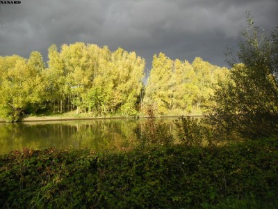 SAM_5785.JPG (190.3 Kio) Vu 4341 fois SAM_5785.JPG