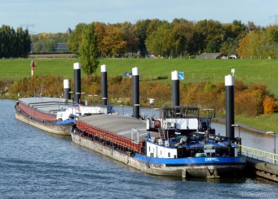 Carmel-1-25-10-2015.jpg (256.21 Kio) Vu 1488 fois Carmel-1-25-10-2015.jpg