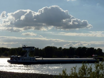 f.jpg (73.35 Kio) Vu 2068 fois f.jpg