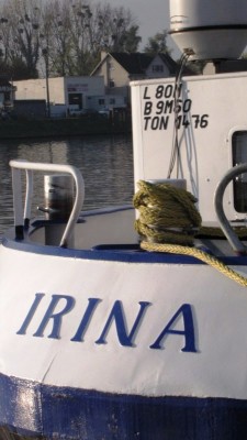 IRINA.jpg