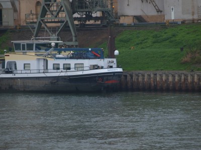 PA204453 (Copier).JPG