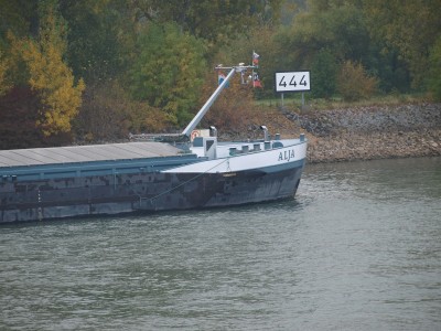 PA204466 (Copier).JPG