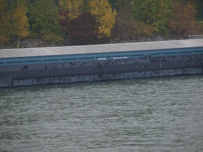 PA204464 (Copier).JPG