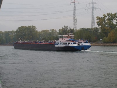 PA204490 (Copier).JPG
