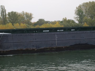 PA204510 (Copier).JPG