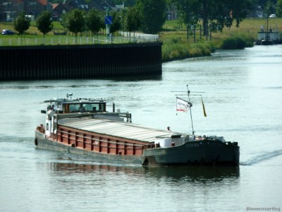 Oggy-4-20-08-2015.jpg
