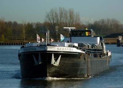 Serafina-3-26-11-2015.jpg (160.47 Kio) Vu 1753 fois Serafina-3-26-11-2015.jpg